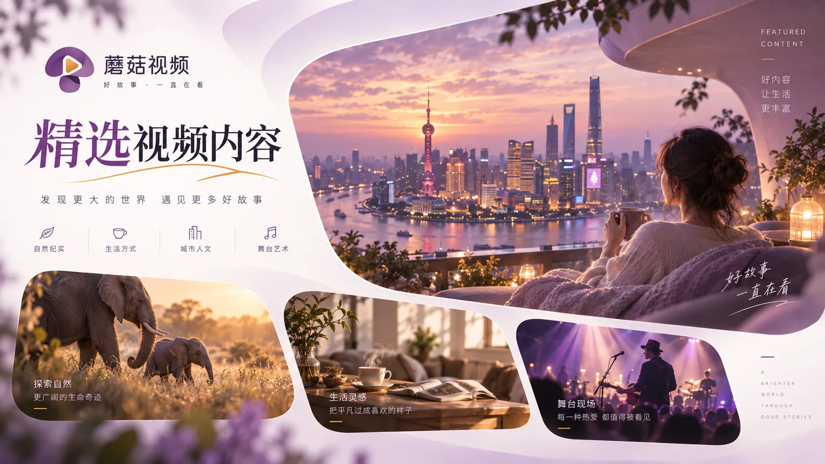蘑菇视频在线观看主题整理